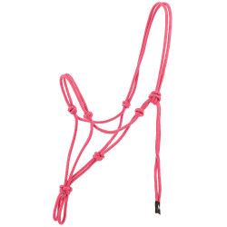 Ethologisch halster Norton Nylon Oudroze