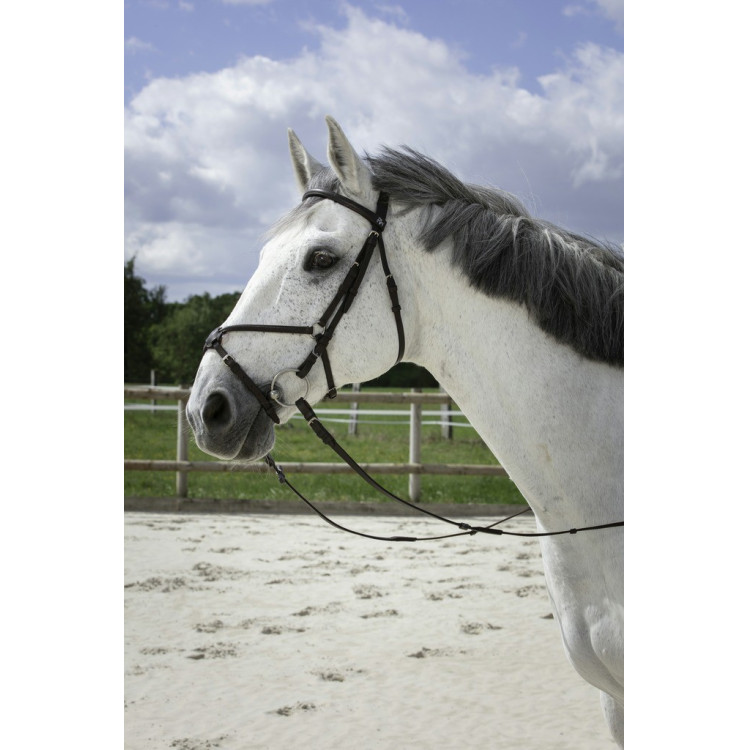 Bridon Riding World Kruisneusriem Bridon Riding World Kruisneusriem