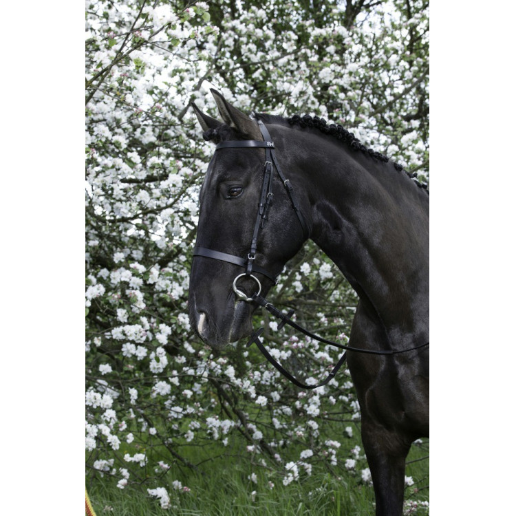 Bridon Riding World Franse neusriem Bridon Riding World Franse neusriem