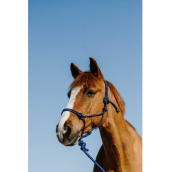 Ethologisch halster + halstertouw Norton Duo Blauw / zwart Ethologisch halster + halstertouw Norton Duo Blauw / zwart