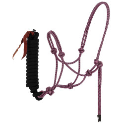 Ethologisch halster + halstertouw Norton Duo Roze / zwart