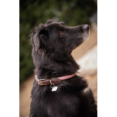 Hondenhalsband Penelope Billie Roze / lurex