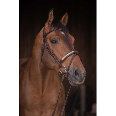 Bridon Pénélope Symphonie Havana Bruin Bridon Pénélope Symphonie Havana Bruin