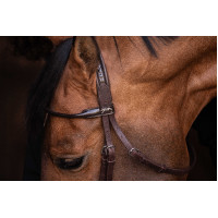 Bridon Pénélope Symphonie Havana Bruin Bridon Pénélope Symphonie Havana Bruin