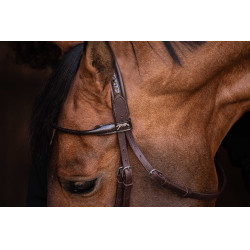 Bridon Pénélope Symphonie Havana Bruin Bridon Pénélope Symphonie Havana Bruin