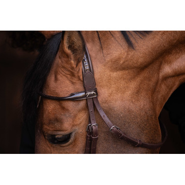 Bridon Pénélope Symphonie Havana Bruin Bridon Pénélope Symphonie Havana Bruin