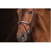 Bridon Pénélope Symphonie Havana Bruin Bridon Pénélope Symphonie Havana Bruin