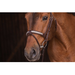 Bridon Pénélope Symphonie Havana Bruin Bridon Pénélope Symphonie Havana Bruin