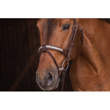 Bridon Pénélope Symphonie Havana Bruin Bridon Pénélope Symphonie Havana Bruin