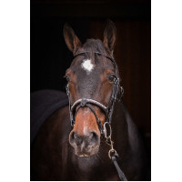 Bridon Pénélope Symphonie Zwart