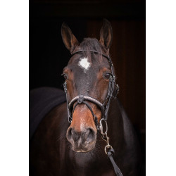 Bridon Pénélope Symphonie Zwart