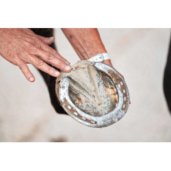 Klei voor hoef Ravene Pediplast