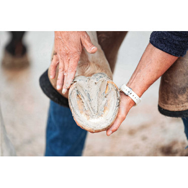 Klei voor hoef Ravene Pediplast