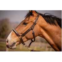 Halster Pénélope Harmonie Bruin