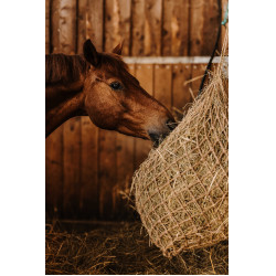 Hooinet Hippotonic Natuurlijk Natuurlijk Bruin