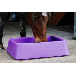 Antischrokvoerbak Hippotonic Violet