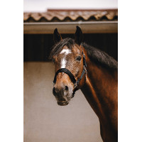 Nylon halster Equithème Jacquard Zwart