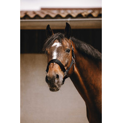 Nylon halster Equithème Jacquard Zwart