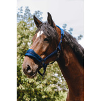 Nylon halster Equithème 3D Mesh Koningsblauw Nylon halster Equithème 3D Mesh Koningsblauw