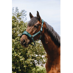 Nylon halster Equithème 3D Mesh Groen