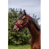 Nylon halster Equithème 3D Mesh Bordeaux Nylon halster Equithème 3D Mesh Bordeaux