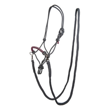 Ethologisch halster Strass met teugels / lijnen HKM Grijs / druif Ethologisch halster Strass met teugels / lijnen HKM Grijs / druif