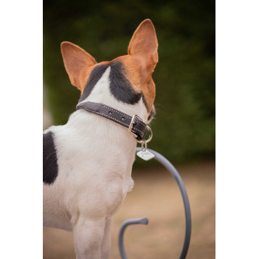 Halsband voor hond Pénélope Olie Havana Bruin