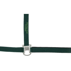 Nylon halster Equithème Protector Groen Nylon halster Equithème Protector Groen