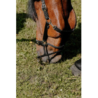 Norton Educatief Halster Zwart Norton Educatief Halster Zwart