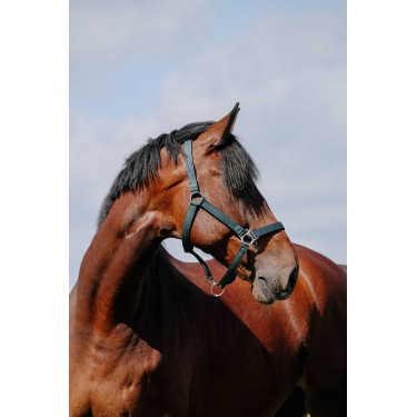 Halster Riding World Cushion Marine Marineblauw