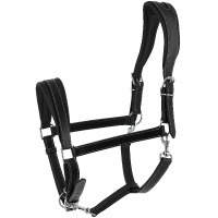 Halster Ardennais Norton Zwart