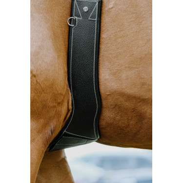 Anatomische singel Magnet Norton Zwart