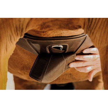 Anatomische singel Magnet Norton Havana Bruin Anatomische singel Magnet Norton Havana Bruin