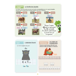 Mijn Werkboek Activiteiten Niveau CM2 Lavauzelle