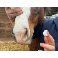 Protection solaire Animaderm Solaren Protection solaire Animaderm Solaren