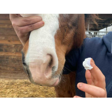 Zonbescherming Animaderm Solaren