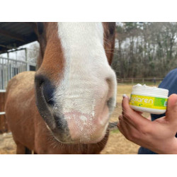 Zonbescherming Animaderm Solaren