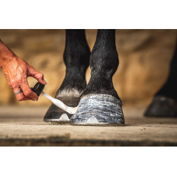 Hoefolie Carr & Day & Martin Daily Hoof Moisturiser Cornucrescine Hoefolie Carr & Day & Martin Daily Hoof Moisturiser Cornucrescine