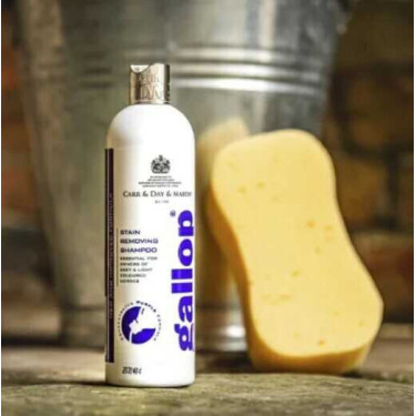Shampoo removedor de manchas Gallop® Carr & Day & Martin Shampoo removedor de manchas Gallop® Carr & Day & Martin
