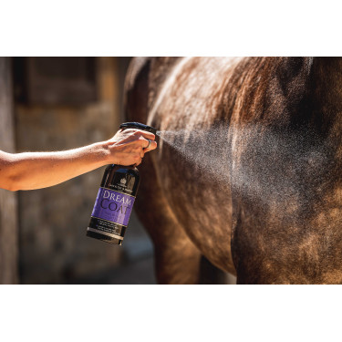 Lustrador Carr & Day & Martin Dreamcoat