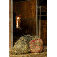 Hooinet Hippotonic Zari Hooinet Hippotonic Zari