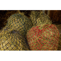 Hooinet Hippotonic Zari Hooinet Hippotonic Zari