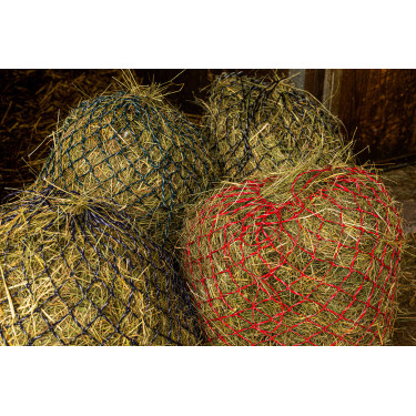 Hooinet Hippotonic Zari