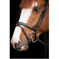 Birdon Oxford Prestatie Pénélope Zwart