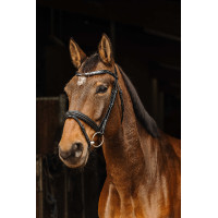 Bridon Norton Pro Galon Zwart Bridon Norton Pro Galon Zwart