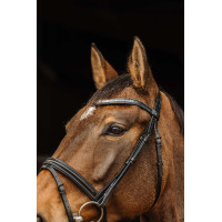 Bridon Norton Pro Galon Zwart Bridon Norton Pro Galon Zwart