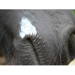 Balsem Animaderm Natjely Balsem Animaderm Natjely