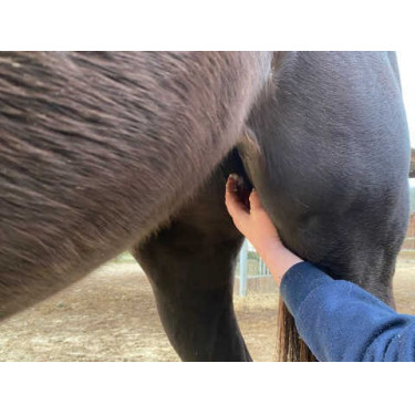 Balsem Animaderm Natjely Balsem Animaderm Natjely