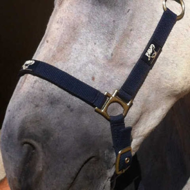 Regenererende Animaderm Cutene