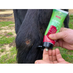 Regenererende Animaderm Cutene